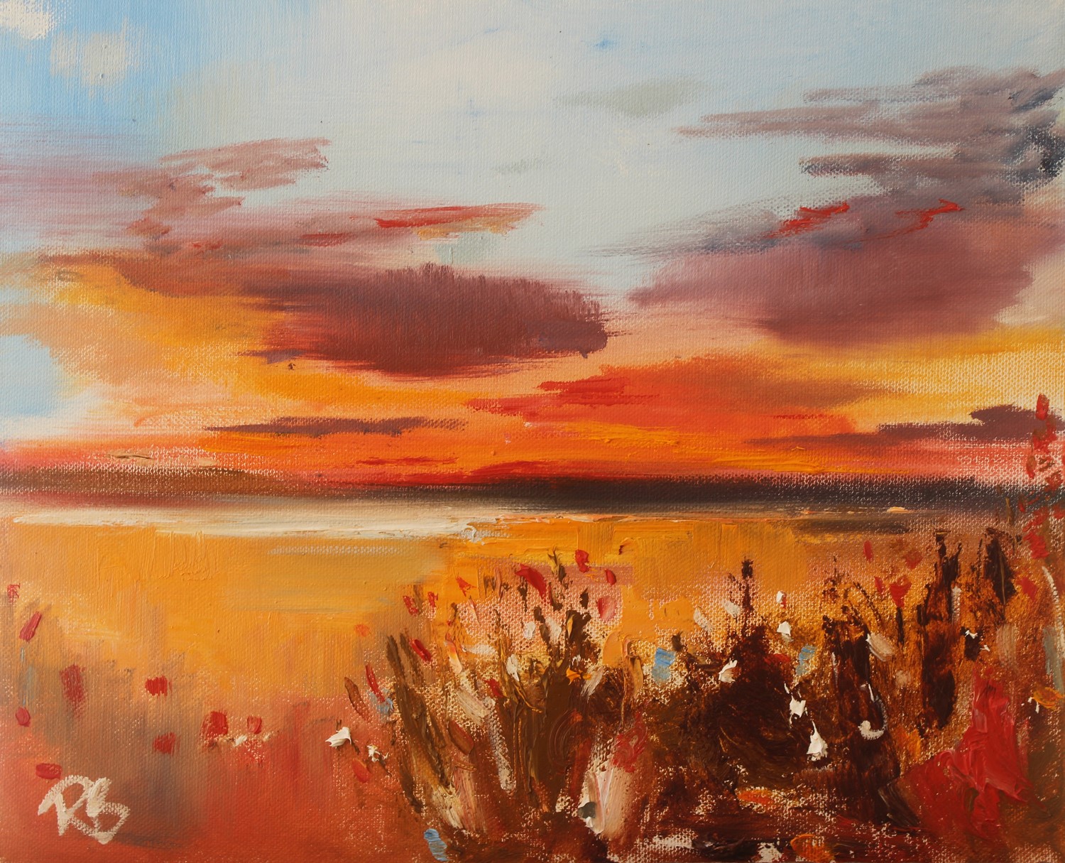 'Red Sky at Night' by artist Rosanne Barr